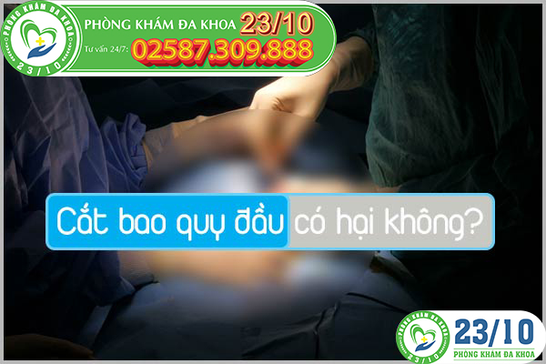Cắt bao quy đầu có hại không?