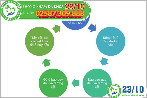 Các dấu hiệu cho thấy nam giới bị viêm bao quy đầu