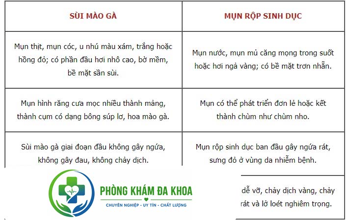 sui mao ga va mun rop sinh duc co lay khong