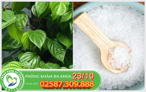 Phương pháp chữa nấm phụ khoa dân gian tại nhà