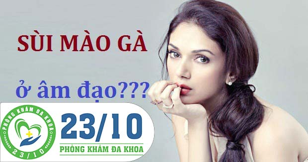 TỔNG QUAN VỀ SÙI MÀO GÀ Ở ÂM ĐẠO