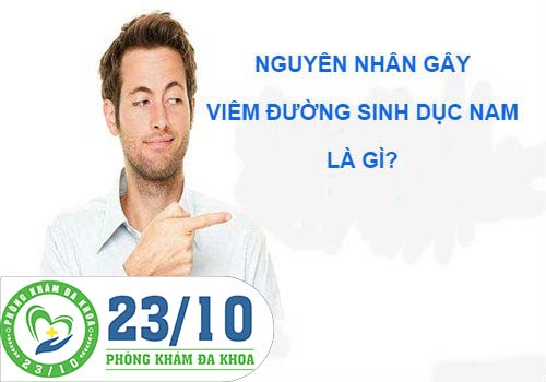 NGUYÊN NHÂN GÂY VIÊM ĐƯỜNG SINH DỤC NAM